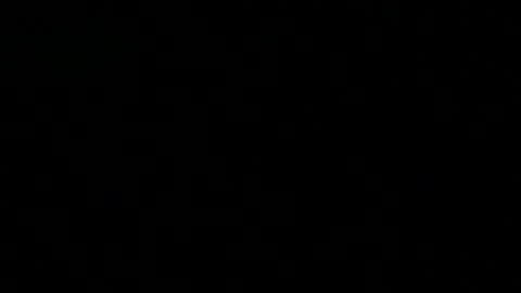 Snapshot of 0815____pet chatting on February 23, 7:58 pm Peter online show from February 23, 7:58 pm