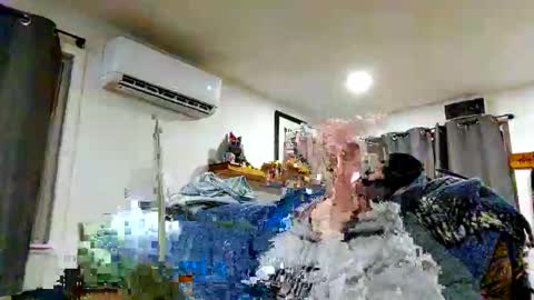 CountryPrince online show from February 19, 2:55 am