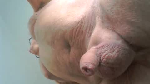 Jan online show from April 1, 8:16 am