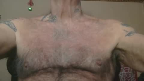 Pizza online show from December 14, 12:34 pm