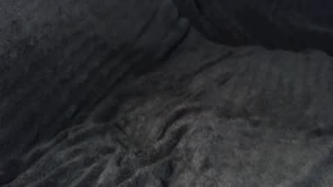 4playCums4u online show from November 23, 12:10 am