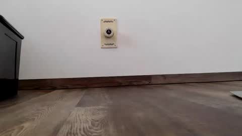 Steven online show from January 13, 11:03 am