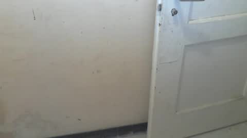 69pifpaf online show from January 31, 2:17 pm