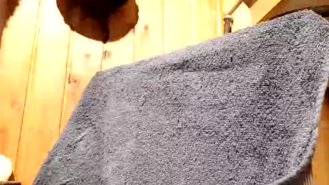 69vz69 online show from January 12, 5:11 am