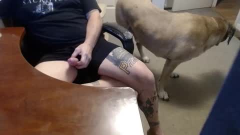 MASTIFF online show from December 22, 8:50 pm