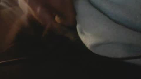 Snapshot of 911jackking chatting on December 6, 8:59 am Jac COCK MODEL KIng online show from December 6, 8:59 am