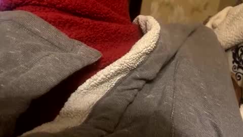 Topher online show from November 27, 7:56 am