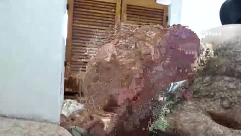 _black_horse_1 online show from March 13, 6:14 pm