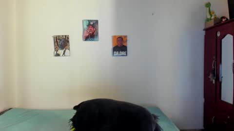 Cody online show from December 11, 12:49 pm