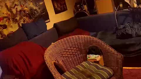 Sven online show from November 3, 5:37 pm