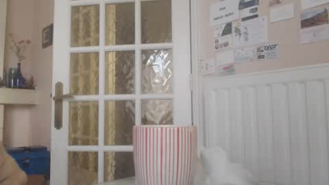 Aalex1717 online show from January 14, 8:52 am