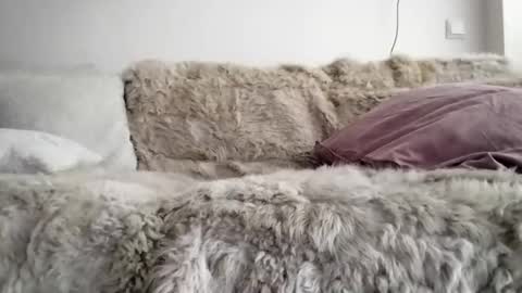 I love a little angel online show from December 17, 10:33 am