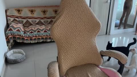 adrien_polo online show from March 21, 10:25 pm