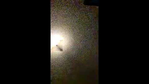 aj297914 online show from February 8, 5:13 am