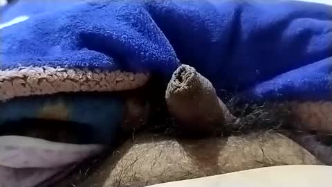 Al409024 online show from January 18, 5:20 am