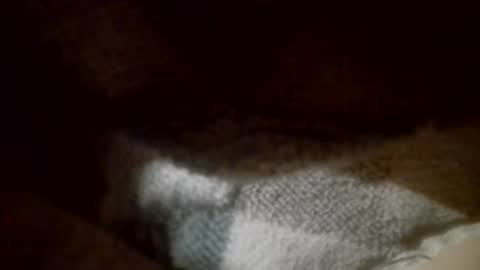 lex online show from February 25, 9:10 am