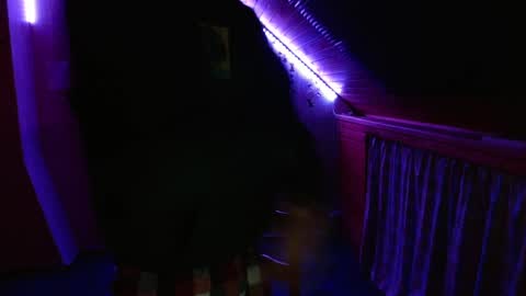 Sam online show from January 12, 7:10 pm