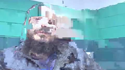 alextambet online show from January 14, 1:17 pm