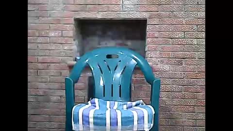 Alexandr online show from November 14, 3:20 am