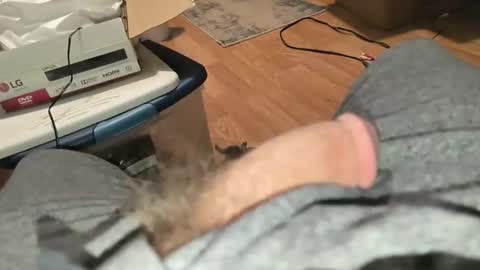 alostmale online show from September 14, 4:25 am