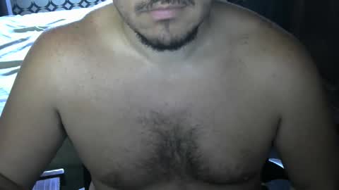 alpha_bear22 online show from January 12, 8:02 pm