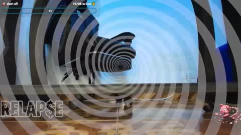 MASTER FINDOM DRAIN... online show from January 17, 3:20 am