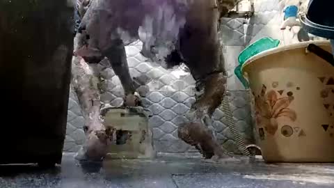 ammy687 online show from December 1, 11:35 am