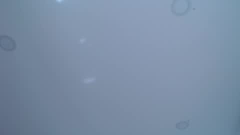 Andrew Courtz online show from March 9, 2:55 pm