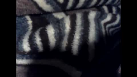 antxon12 online show from January 14, 3:22 am