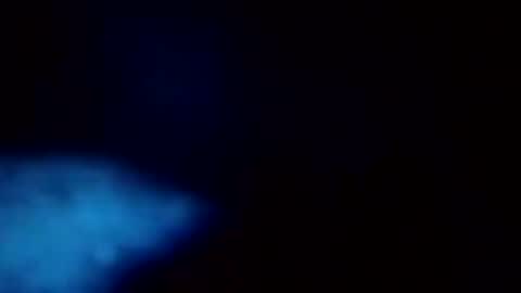 apocolypseanomaly online show from December 16, 9:46 am