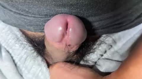 apple2761 online show from November 28, 4:15 am