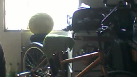 Snapshot of ardienate19580215 chatting on September 21, 8:09 pm Ardiente online show from September 21, 8:09 pm
