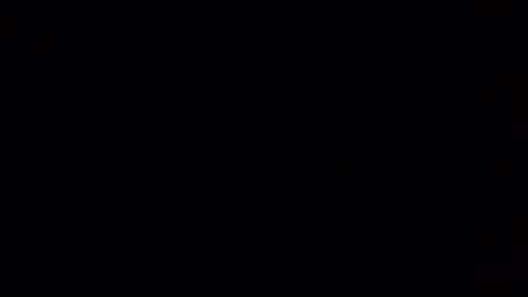 AAP online show from December 29, 2:17 am