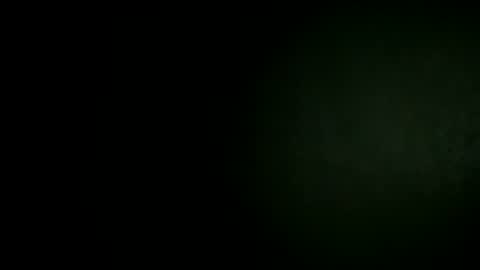 assetr69aldy46 online show from January 11, 12:31 pm