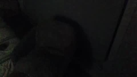 aszttz online show from February 8, 3:42 pm