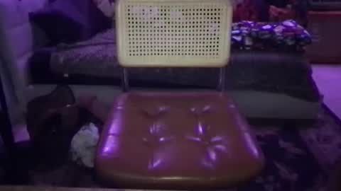 avrilvagine online show from January 2, 7:12 am