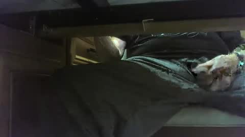 ayime292 online show from January 18, 6:42 am