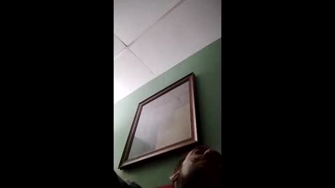 babytrouble online show from January 14, 3:00 am