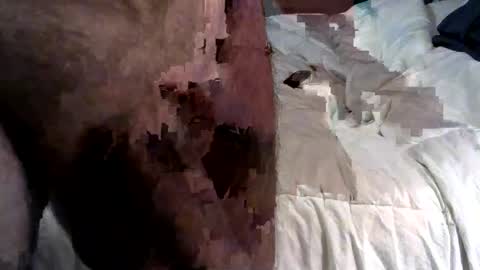 badlad10 online show from June 18, 2:24 am