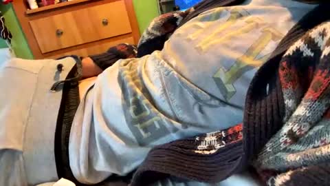 Ball Player Next Door  online show from November 2, 5:17 pm