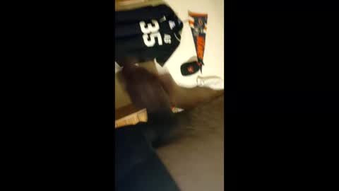 baz_esp online show from April 5, 11:29 am