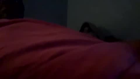 bbc_in_chitwn online show from January 4, 11:27 pm