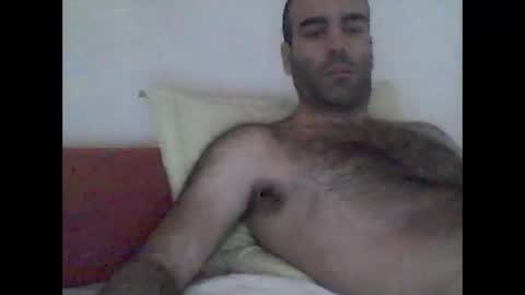 bear14250949 online show from November 7, 8:28 am