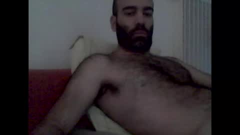 bear14250949 online show from November 1, 8:07 am