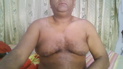 Grizzly   online show from January 1, 2:31 pm