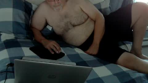 bear online show from August 5, 6:46 pm