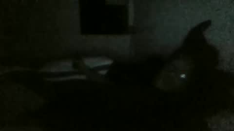 beauabney9 online show from December 27, 11:17 am