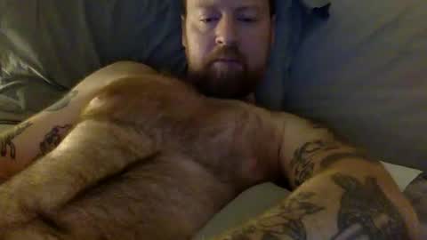 Beewolf online show from October 10, 10:23 pm