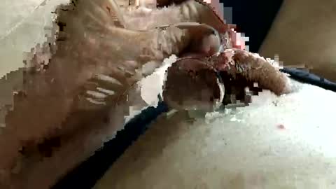 Bestwhitedude online show from April 26, 7:21 pm