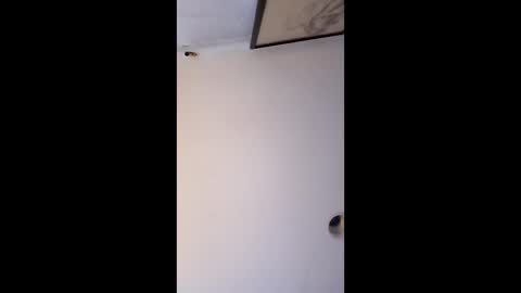 bgiamba21 online show from January 12, 6:50 am